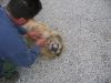Filename=Jenny_001.jpg
Filesize=351KB
Dimensions=1024x768
Date added=Nov 14, 2006 Jenny_001.jpg