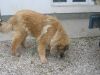 Filename=Jenny_005.jpg
Filesize=293KB
Dimensions=1024x768
Date added=Nov 14, 2006 Jenny_005.jpg