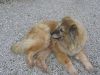 Filename=Jenny_020.jpg
Filesize=324KB
Dimensions=1024x768
Date added=Nov 14, 2006 Jenny_020.jpg