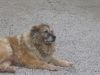 Filename=Jenny_022.jpg
Filesize=251KB
Dimensions=1024x768
Date added=Nov 14, 2006 Jenny_022.jpg
