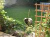 Filename=Rozi.jpg
Filesize=94KB
Dimensions=480x360
Date added=Jul 24, 2007 Rozi.jpg